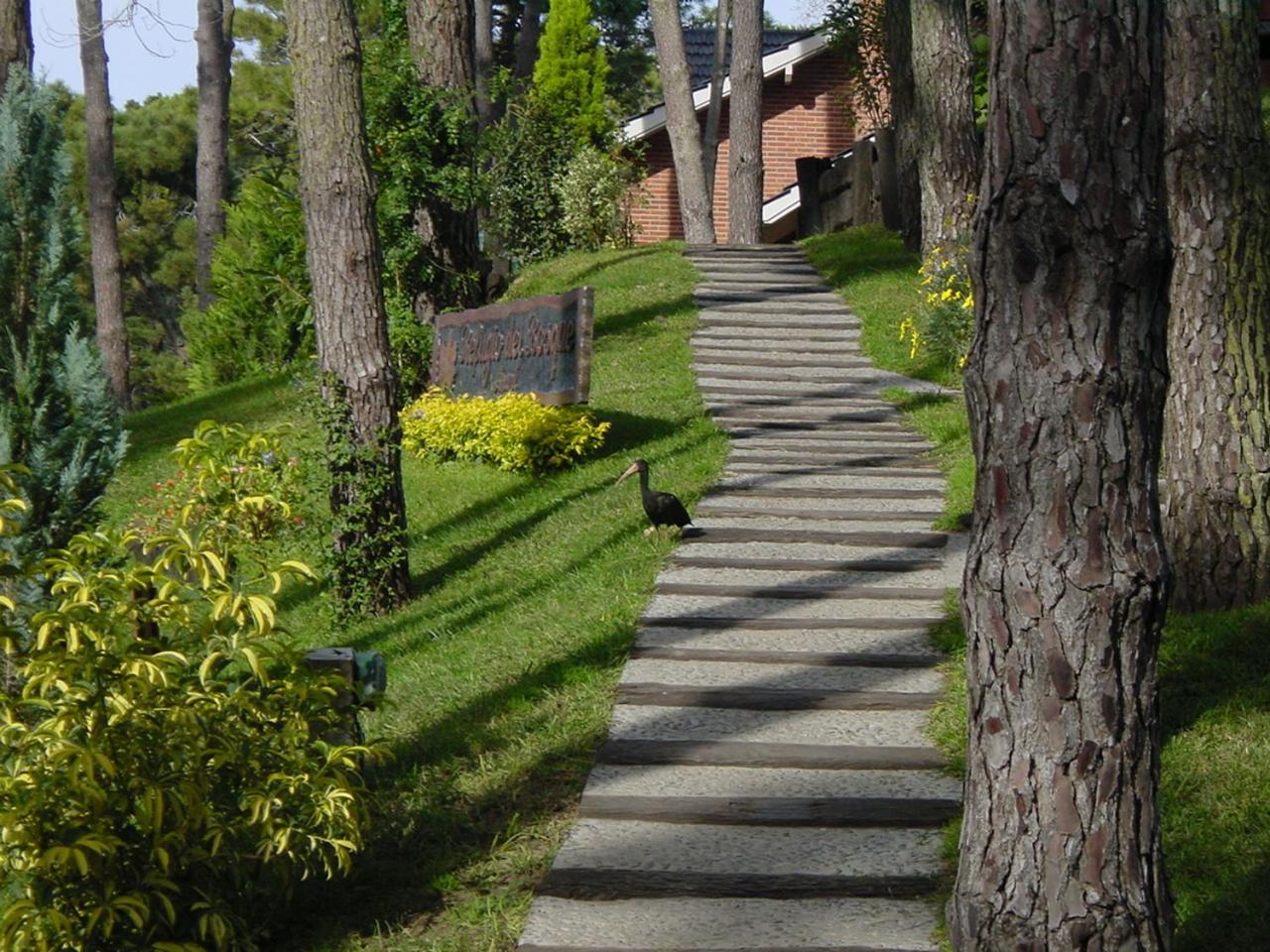 Refugio Del Bosque Villa Carilo Bagian luar foto