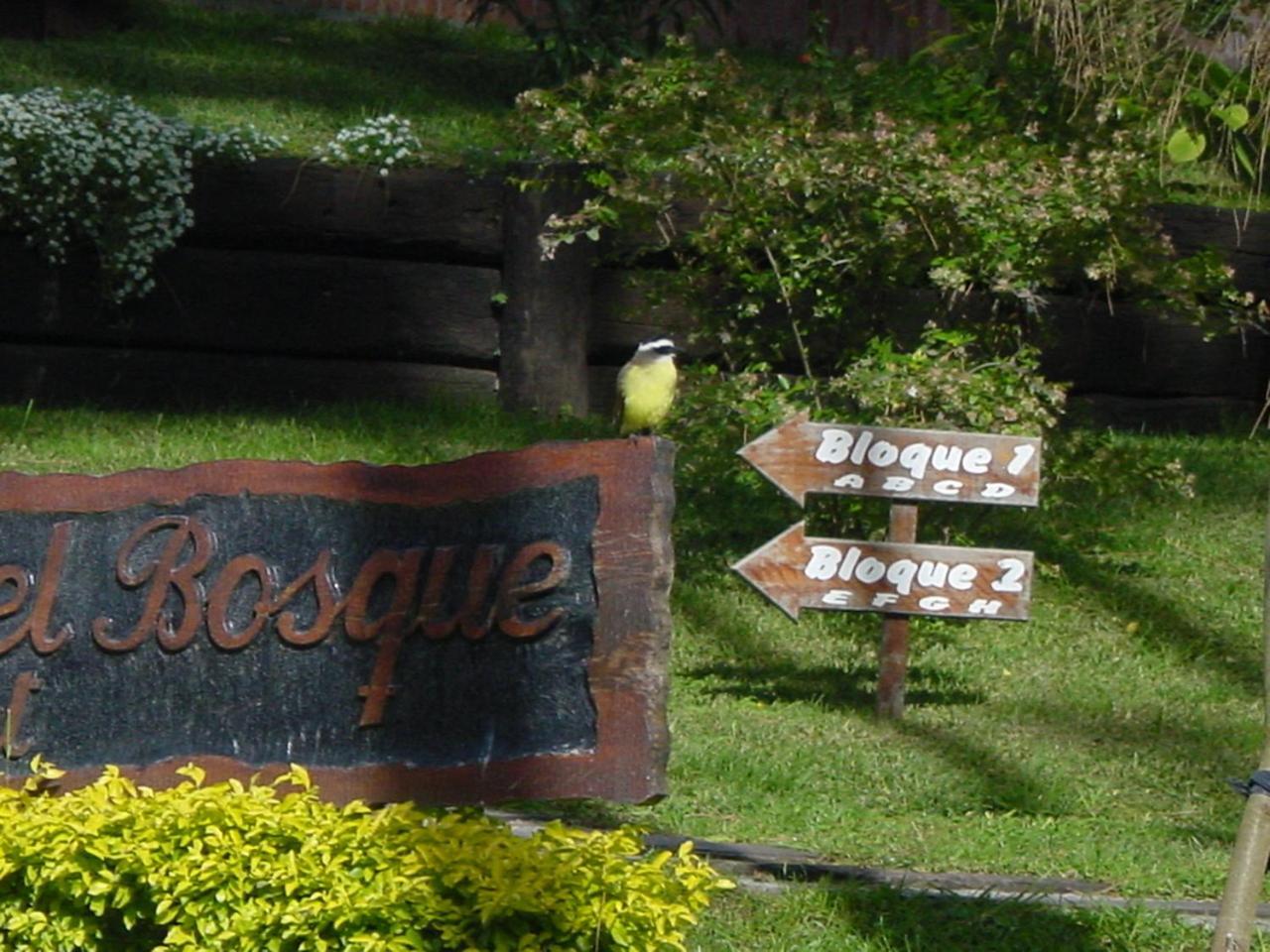 Refugio Del Bosque Villa Carilo Bagian luar foto