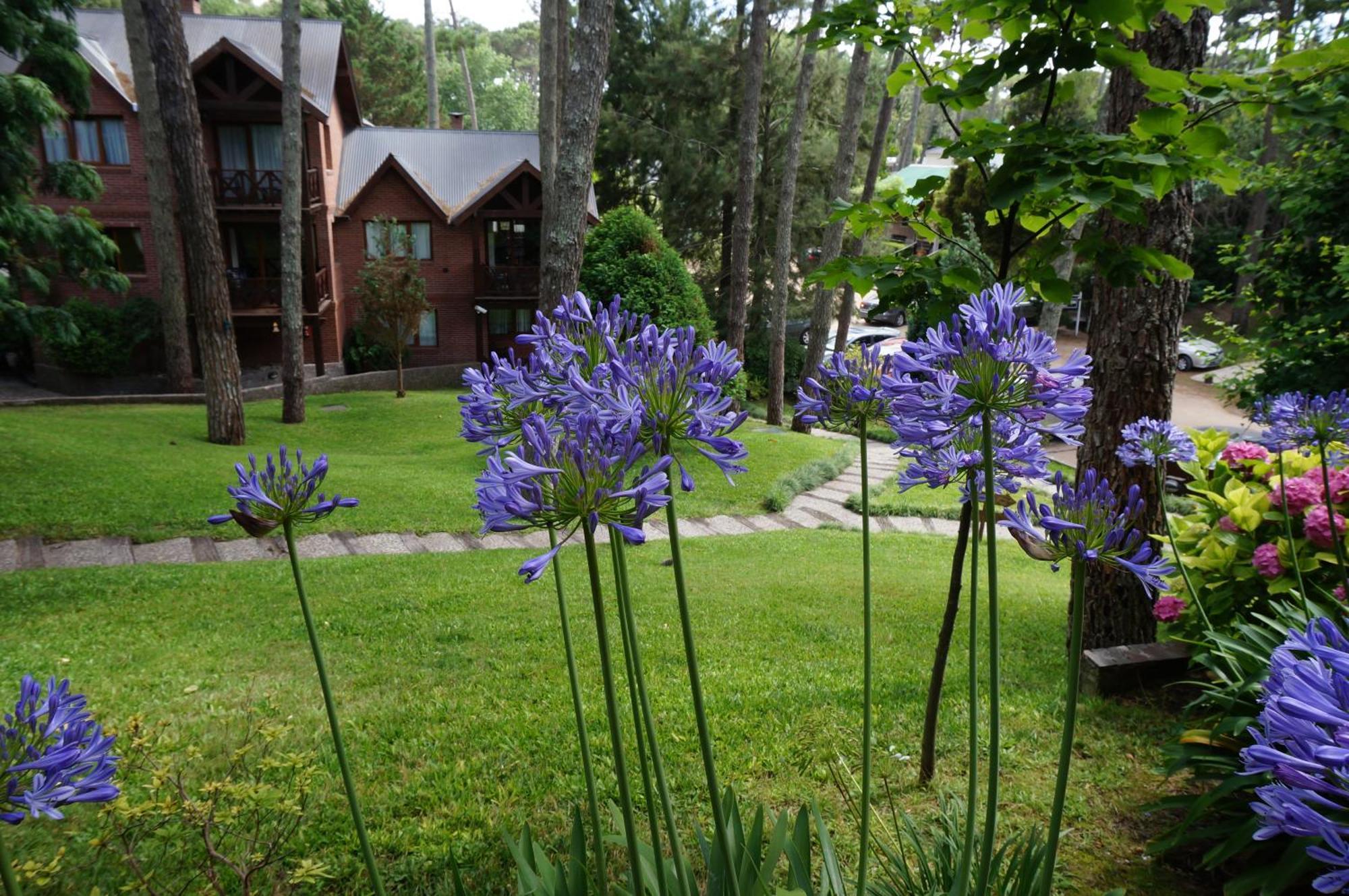 Refugio Del Bosque Villa Carilo Bagian luar foto